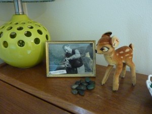 Vlado photo with Bambi