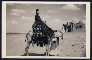 Fabry Archive - Selected Photographs (43)