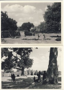 British Togoland Plebiscite 25