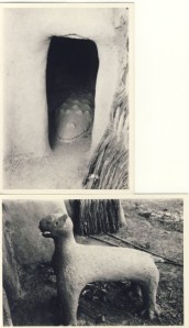 British Togoland Plebiscite 26