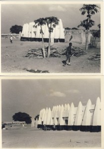 British Togoland Plebiscite 29