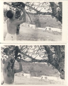 Vlado with monkey Ghana 1956